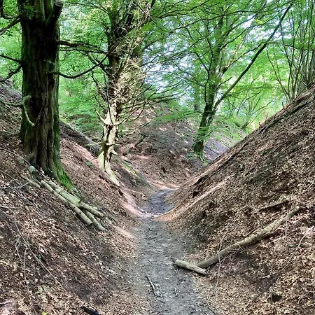 8 Person In Brovst-by Traum Casa de Férias *